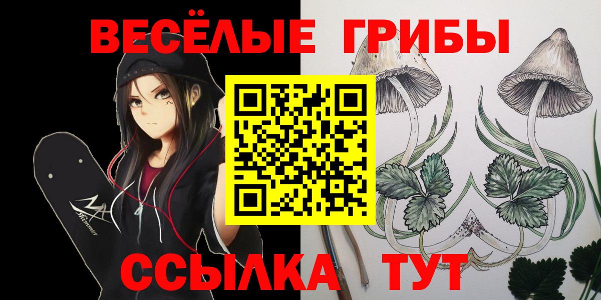 Псилоцибиновые грибы GOLDEN TEACHER  Галлюциногенные грибы GOLDEN TEACHER  Вход с VPN  Усть-Джегута 